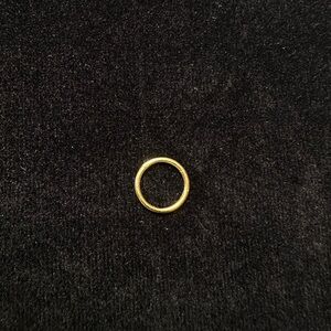 18k Solid Gold Hinged Ring 16 Gauge 10mm